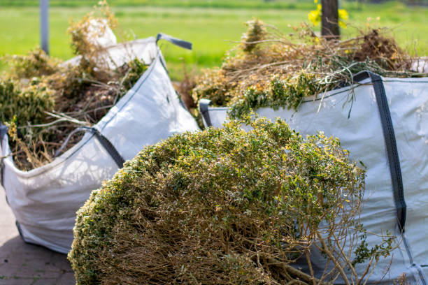Best Hoarding Cleanup  in Marbleton, WY